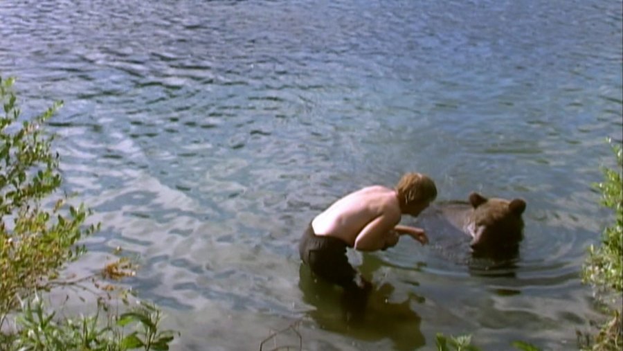 Treadwell Swims with a Bear