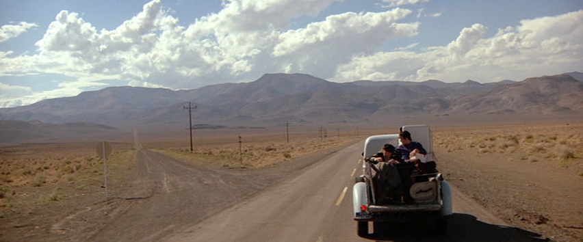 Max and Lion Hitch Across the Country