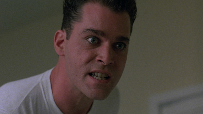 Ray Liotta as Ray