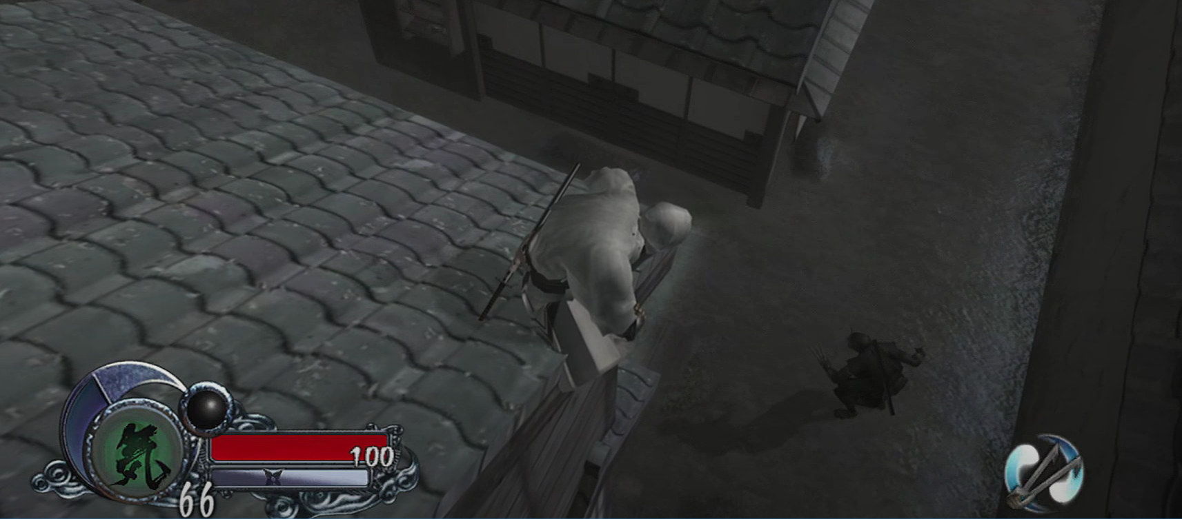 Rooftop Surveillance