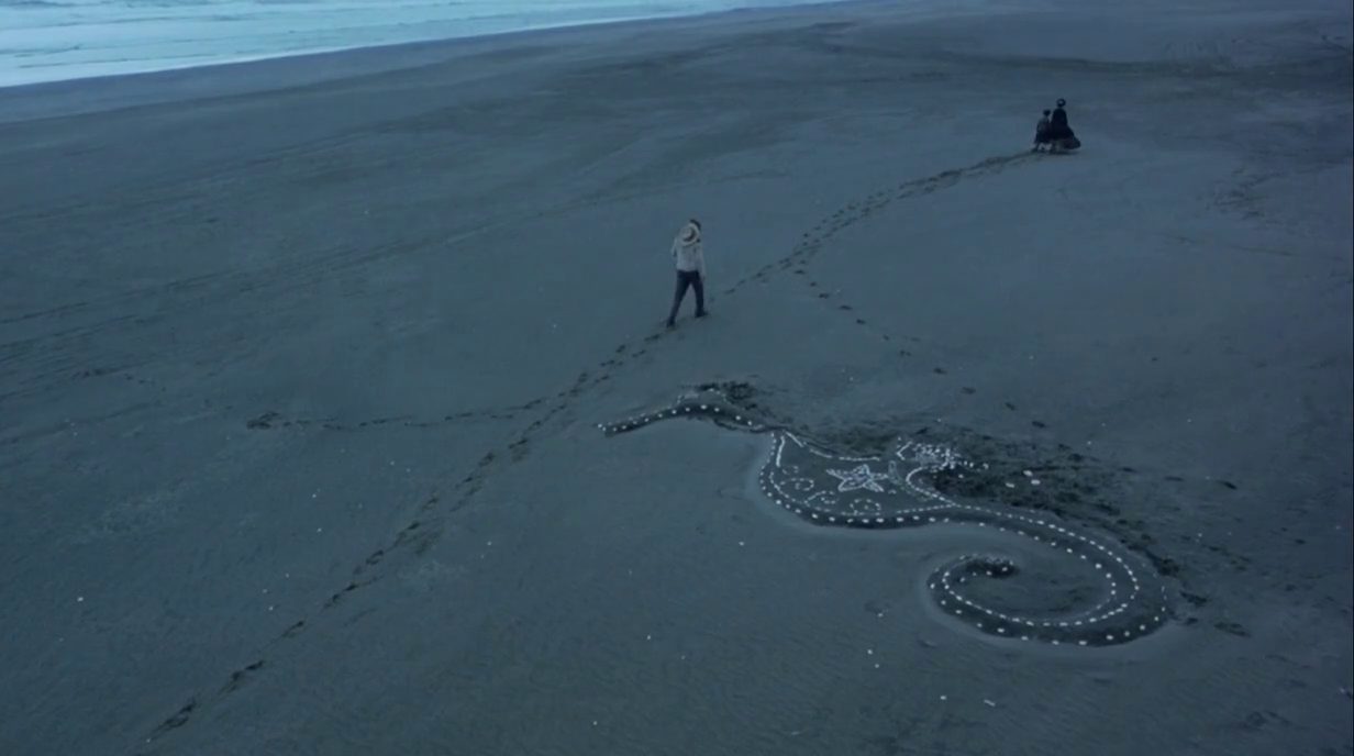 Flora's Seahorse on the Beach