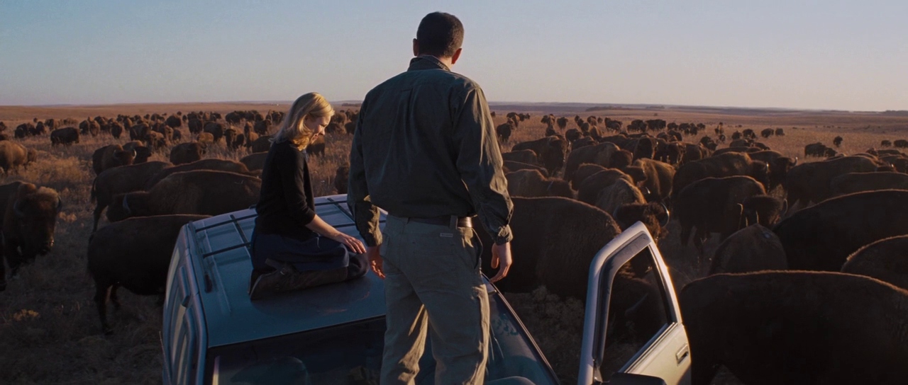 Rachel McAdams, Ben Affleck, and a Herd of Buffalo