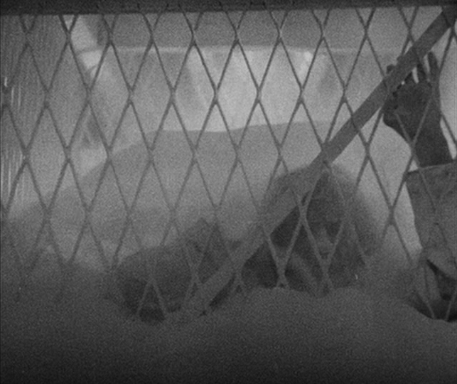 The Doctor Succumbs to the Deluge of Flour